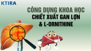 Nhấn vào hình để tham khảo KTIRA LIVERPRO