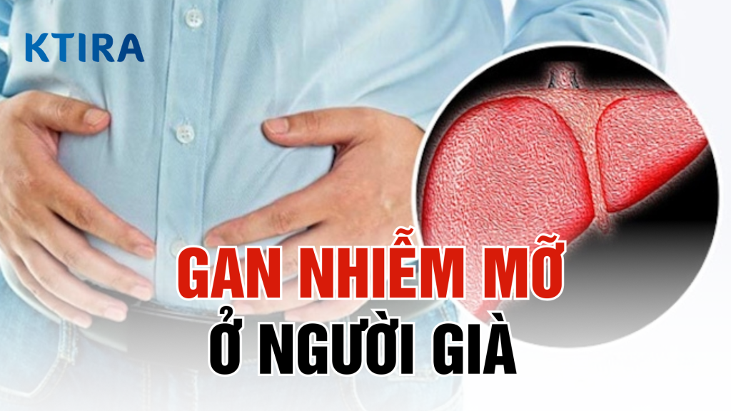 Gan nhiễm mỡ ở người già