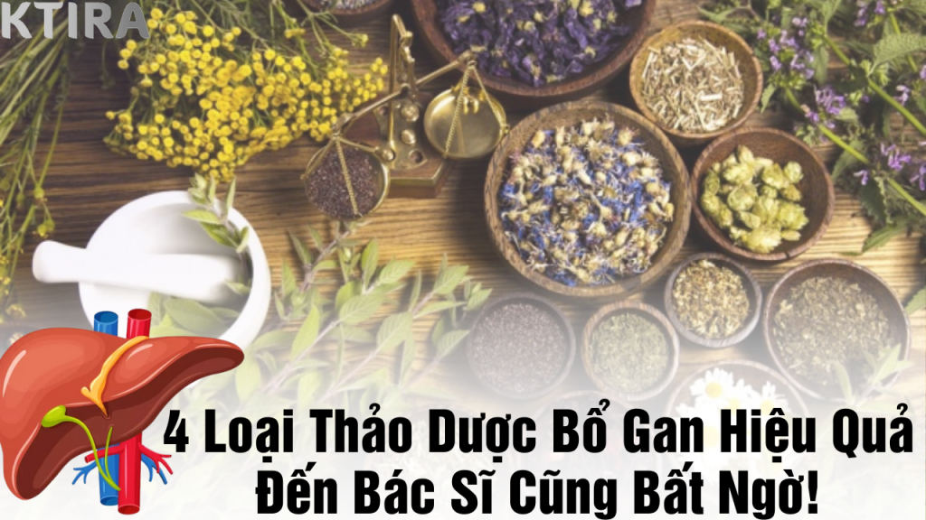 top 4 thảo dược bổ gan