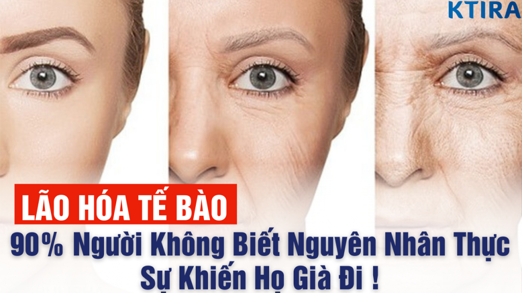 Nguyên nhân của lão hóa tế bào là gì?
