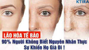 Nguyên nhân của lão hóa tế bào là gì?