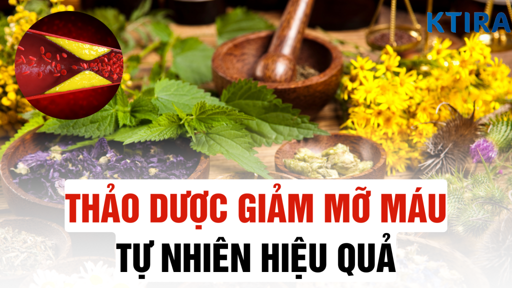 5 loại thảo dược giúp giảm mỡ máu tự nhiên