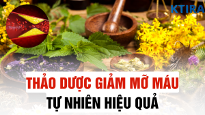 5 loại thảo dược giúp giảm mỡ máu tự nhiên