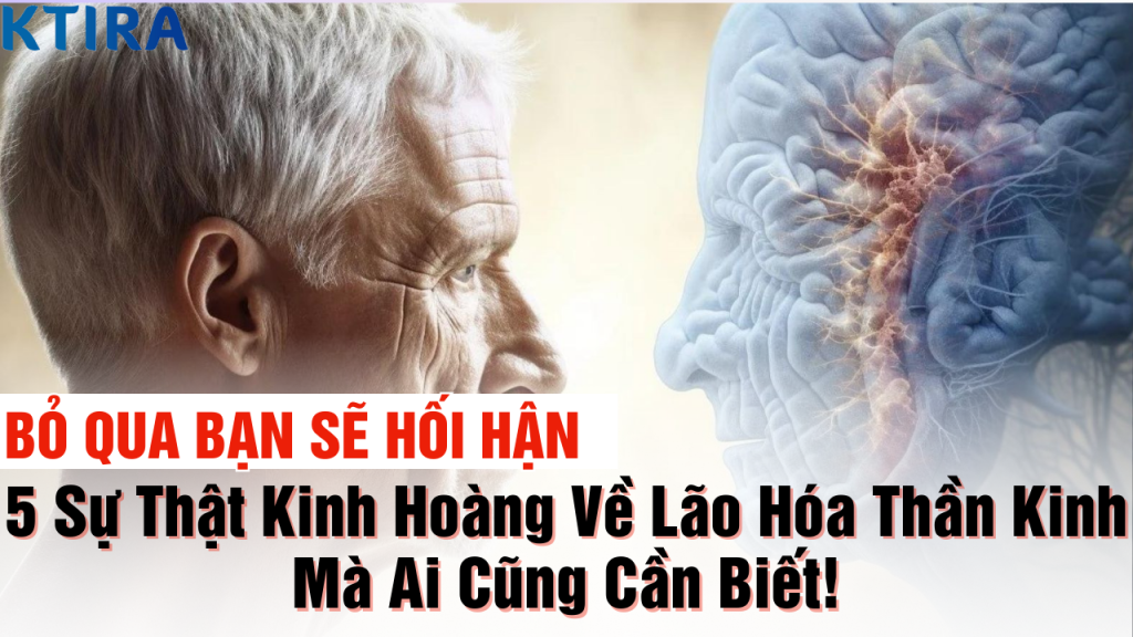 5 Sự Thật Kinh Hoàng Về Lão Hóa Thần Kinh Mà Ai Cũng Cần Biết!