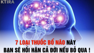 Biết 7 Loại Thuốc Bổ Não Này - Bạn Sẽ Hối Hận Cả Đời Nếu Bỏ Qua !