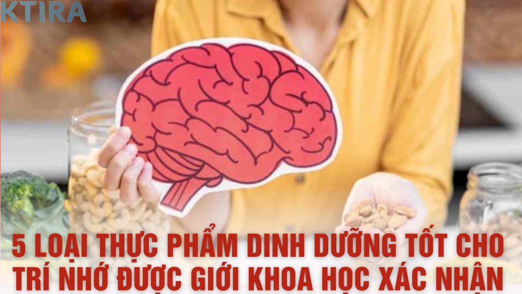 5 Loại Thực Phẩm Dinh Dưỡng Tốt Cho Trí Nhớ Được Giới Khoa Học Xác Nhận – Cái Thứ 4 Sẽ Khiến Bạn Kinh Ngạc!