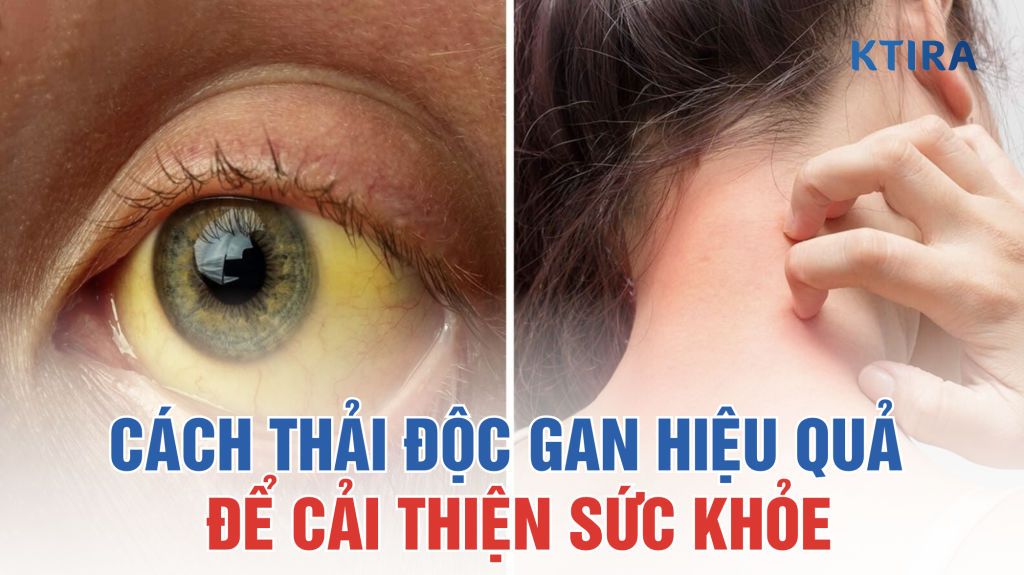 Cách Thải Độc Gan Hiệu Quả KTIRA