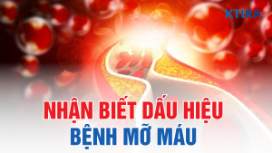 Dấu hiệu bệnh mỡ máu