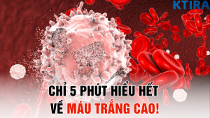 Chỉ 5 Phút Đọc Bài Này, Bạn Sẽ Hiểu Hết Về Máu Trắng Cao!