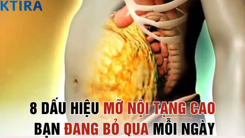8 Dấu Hiệu mỡ nội tạng cao Bạn Đang Bỏ Qua Mỗi Ngày
