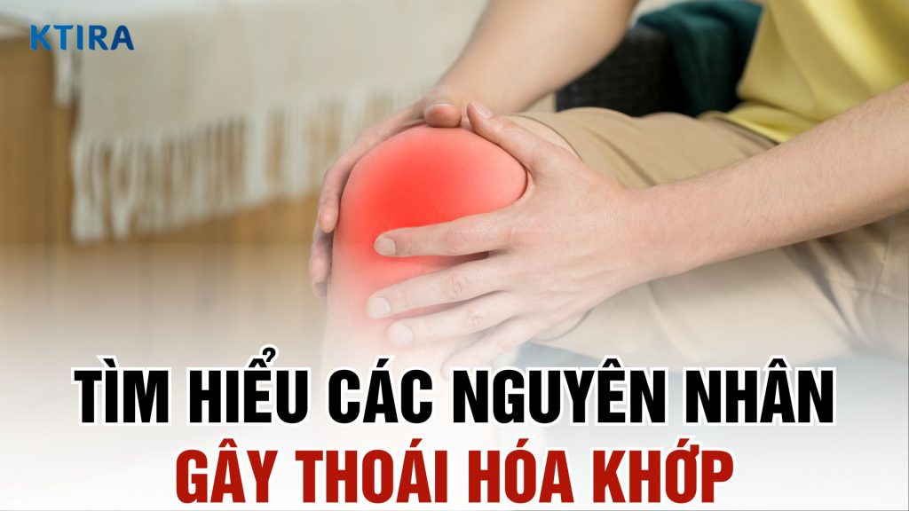 Nguyên nhân gây thoái hóa khớp