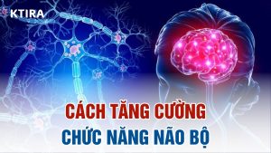 5 cách tăng cường chức năng não
