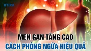 Nguyên nhân men gan tăng cao