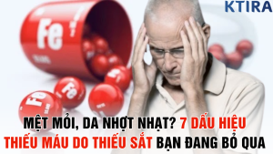 Mệt Mỏi, Da Nhợt Nhạt? 7 Dấu Hiệu Thiếu Máu Do Thiếu Sắt Bạn Đang Bỏ Qua