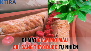 Bí Mật Giảm Mỡ Máu Chỉ Bằng Thảo Dược Tự Nhiên