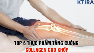 Top Thực Phẩm Tăng Cường Collagen Cho Khớp