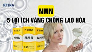 Tác Dụng Của NMN Là Gì? Chìa Khóa Đảo Ngược Lão Hóa!