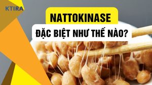 Nattokinase Là Gì?