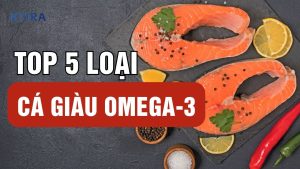 Top 5 Loại Cá Giàu Omega-3