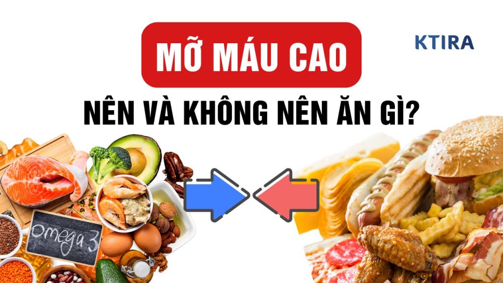Mỡ Máu Cao Nên Ăn Gì Và Kiêng Ăn Gì