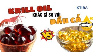 Krill Oil Khác Gì Với Dầu Cá Thông Thường?