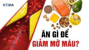 Ăn Gì Giảm Mỡ Máu?