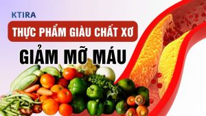 Thực Phẩm Giàu Chất Xơ Giảm Mỡ Máu KTIRA