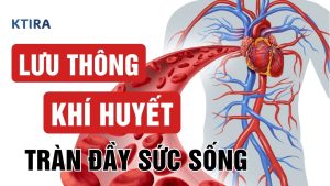 Cách Lưu Thông Khí Huyết KTIRA
