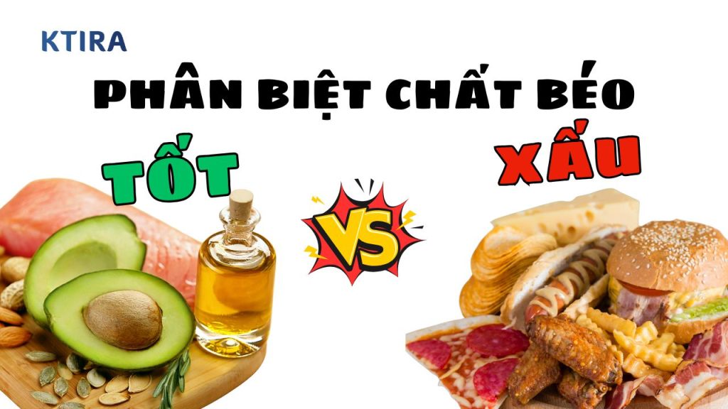 Chất Béo Tốt Và Chất Béo Xấu