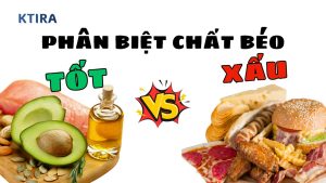 Chất Béo Tốt Và Chất Béo Xấu