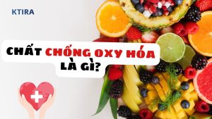 Chất Chống Oxy Hóa Là Gì?