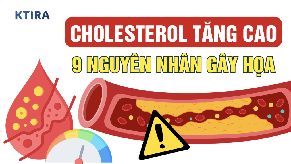 Cholesterol Tăng Cao KTIRA