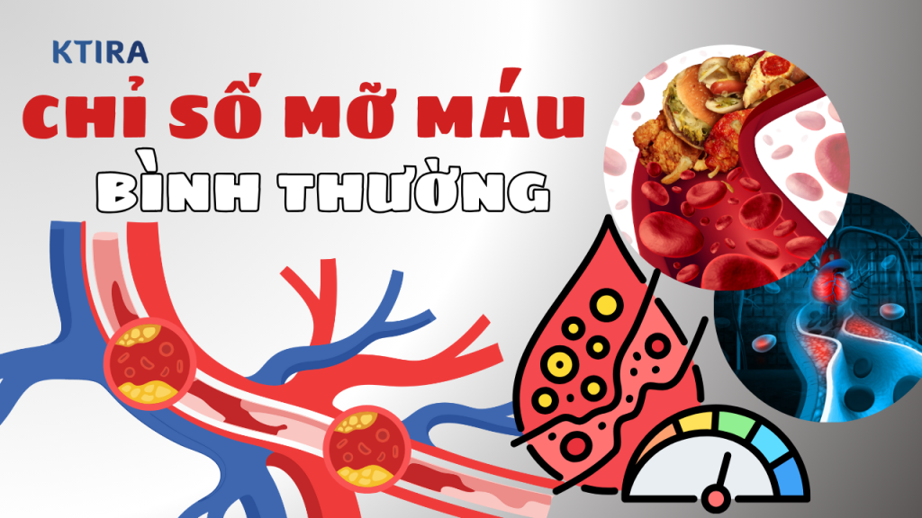 Chỉ số mỡ máu bình thường KTIRA